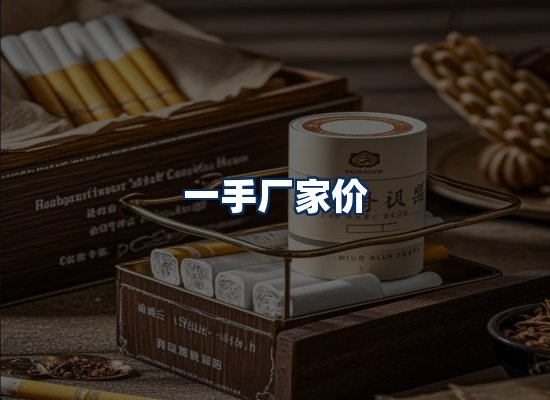 专业团队办公环境